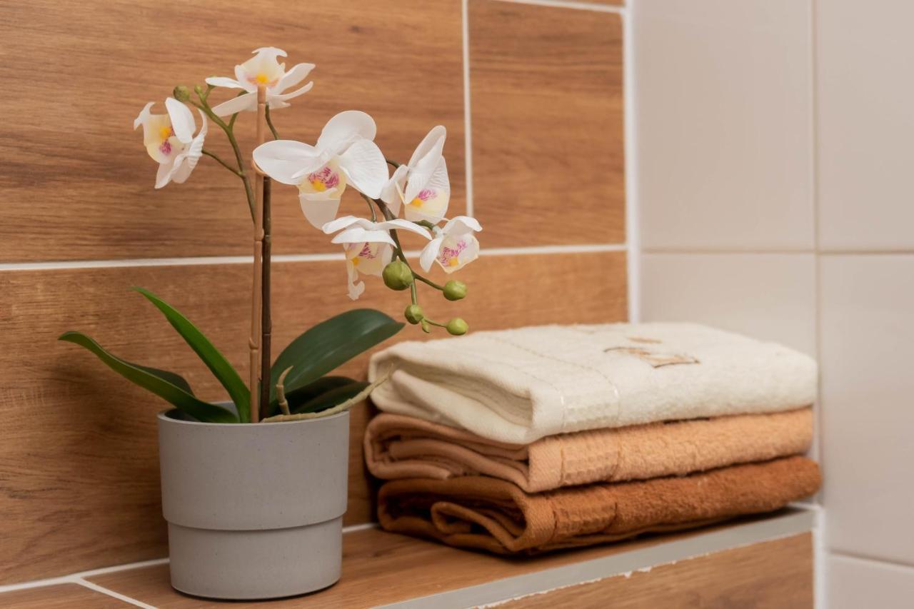 Apartamenty Goszowita Stronie Śląskie Buitenkant foto