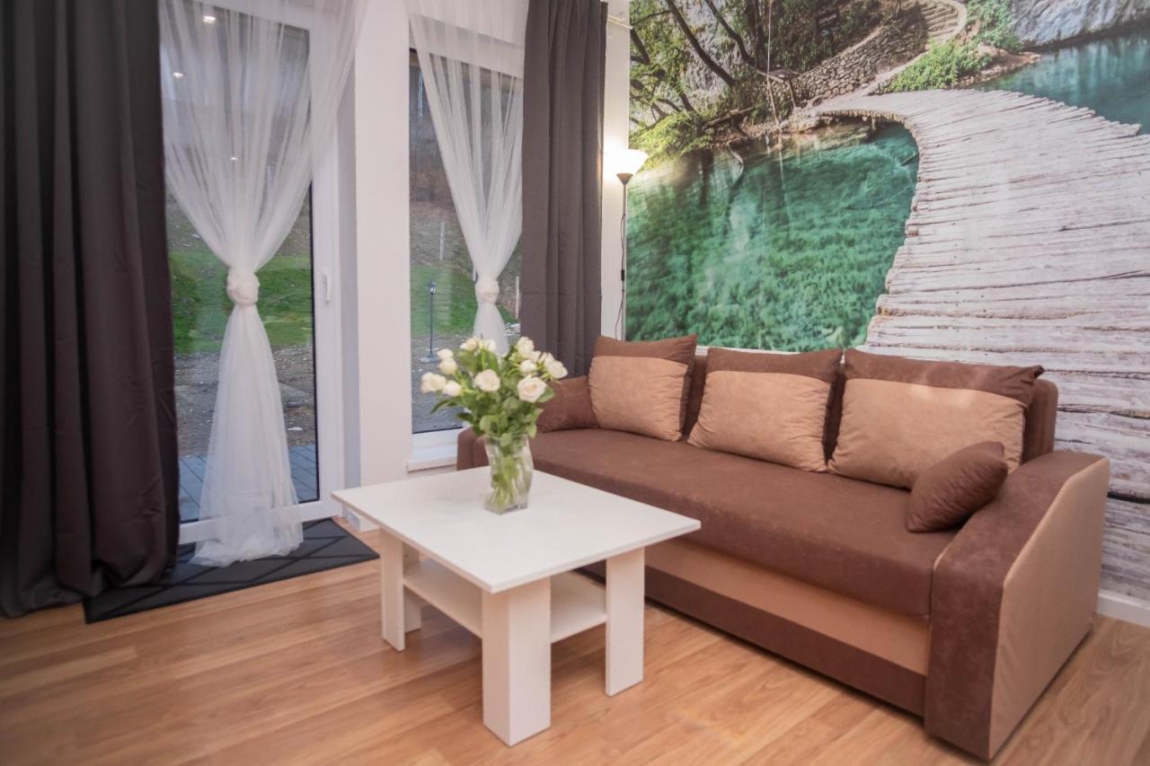Apartamenty Goszowita Stronie Śląskie Buitenkant foto