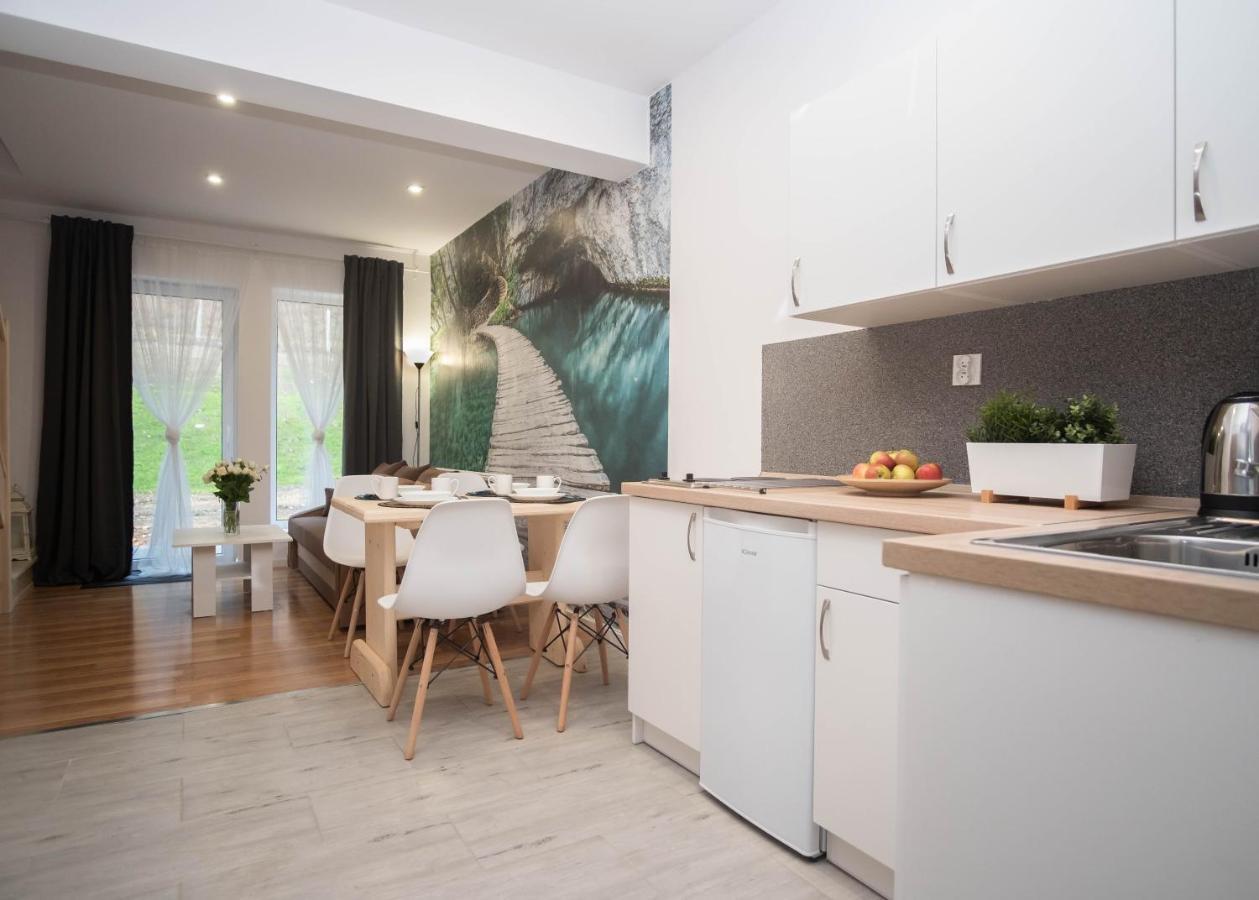 Apartamenty Goszowita Stronie Śląskie Buitenkant foto