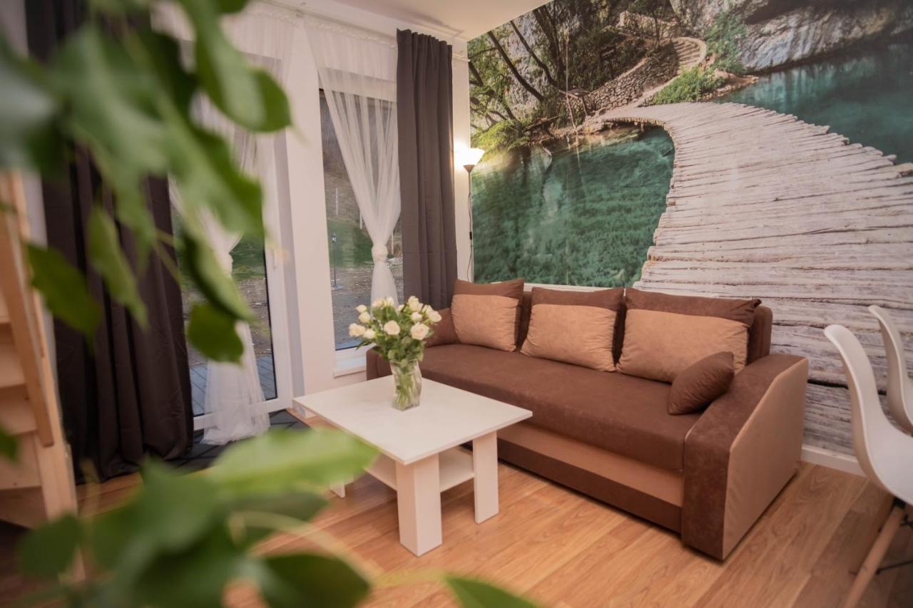 Apartamenty Goszowita Stronie Śląskie Buitenkant foto